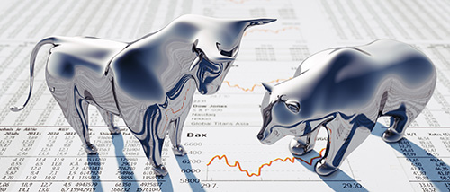 Bull or Bear Wealth Management for Business Owners